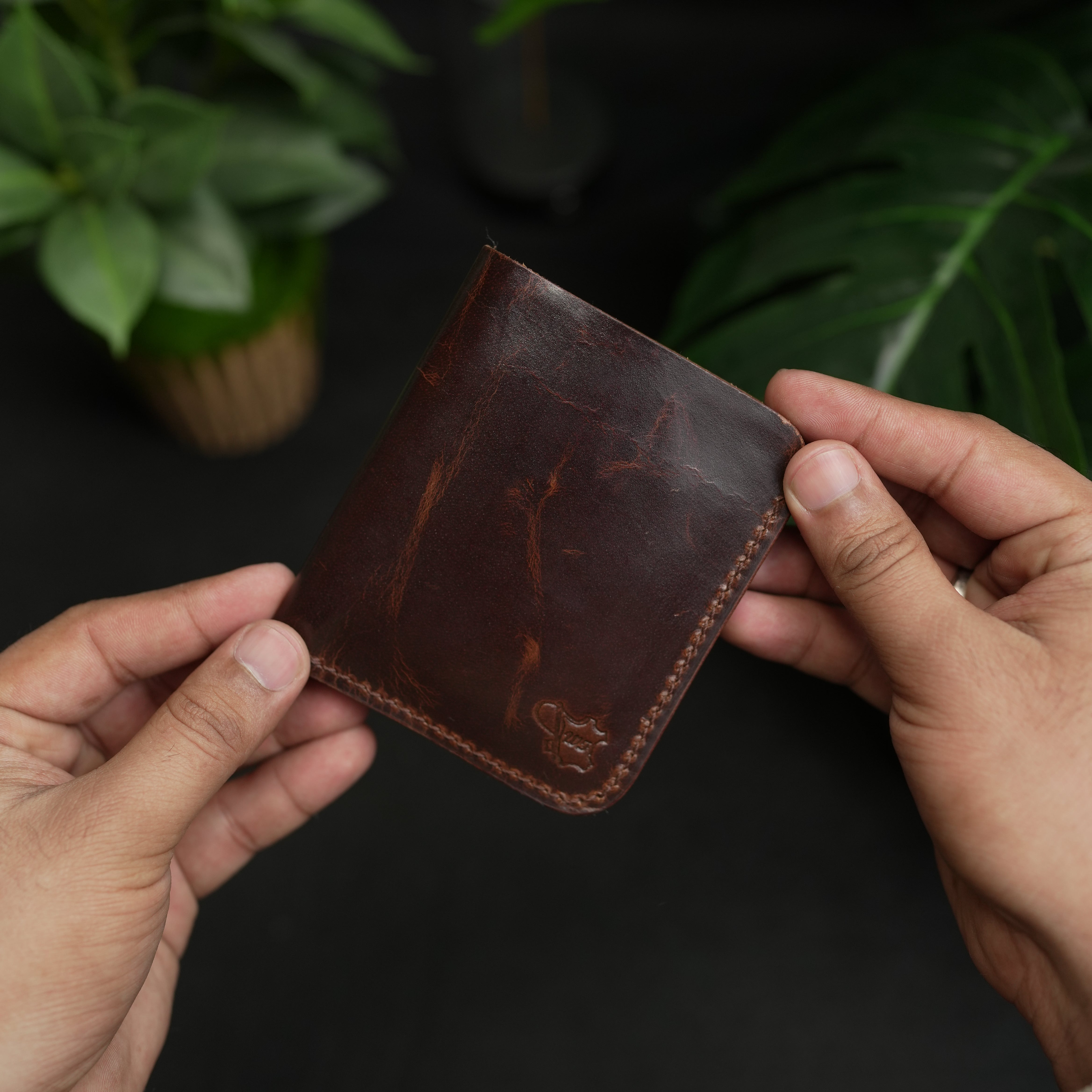 Brown leather wallet held by a hand with a blurred green plant background